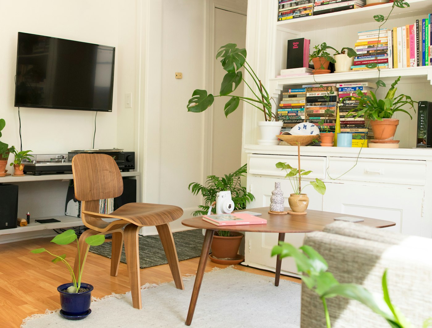 Bright residential living-room interior with houseplants and a mid-century reading chair — the kind of home the programme delivers